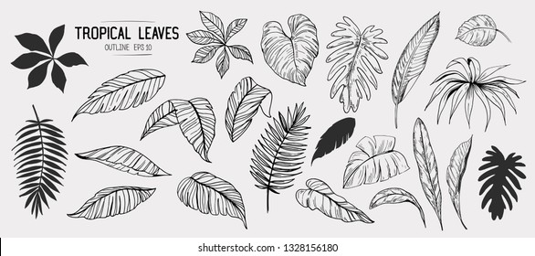 Tropical leaves. Set of hand drawn illustration. Vector. Isolated