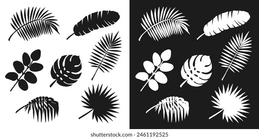 Tropical leaves set, isolated black and white silhouettes. Different palm leaves and monstera leaf, hand drawing sketch. Vector clipart for floral and nature design, stencil print and engraving.