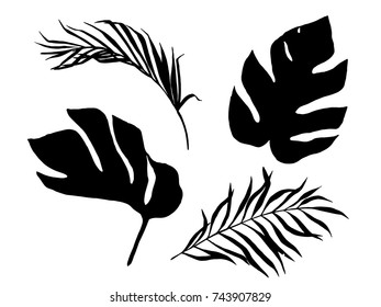 Tropical leaves set with isolated elements. Hand drawn illustration. Silhouette