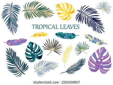 
Tropical leaves set. Leaves isolated on white background.