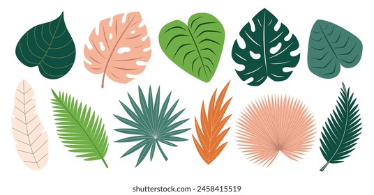Tropical leaves set. Monstera, banana tree, palm leaves. Abstract exotic elements. Flat Vector illustration isolated on white background
