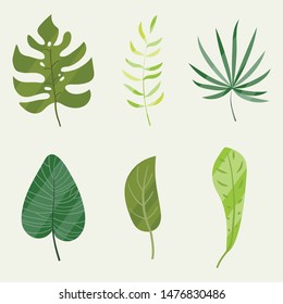 tropical leaves set on light green background vector illustration hand draw illustration  background