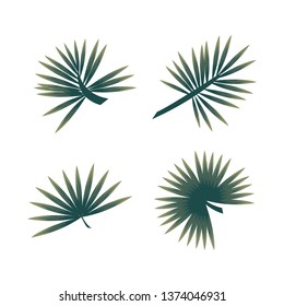 Tropical Leaves Set On White Background