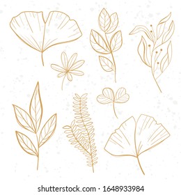Tropical leaves set. Palm, fan palm, monstera, banana leaves in line style. Sketches of tropical leaves for design.
