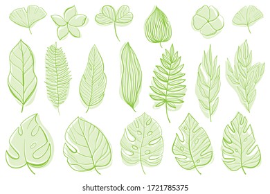 Tropical leaves set. Palm, fan palm, monstera, banana leaves in line style. Sketches of tropical leaves for design.