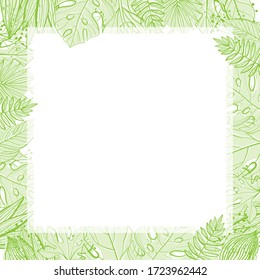 Tropical leaves set. Palm, fan palm, monstera, banana leaves in line style. Sketches of tropical leaves for design.