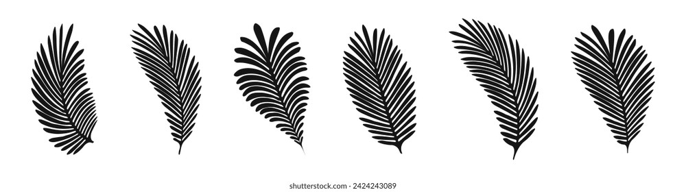 Tropical leaves set. Palm leaves. Palm tree leaf set. Tropical leaves silhouette