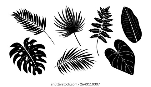 Folhas tropicais, silhuetas. Coleção de plantas exóticas: Monstera, Rhopalostylis, Calathea, folha de bananeira, formas pretas, elementos de design. Ilustração vetorial botânica.