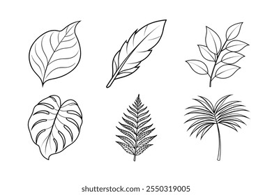 Tropical Leaves Set: Stunning Nature-Inspired Illustrations for Creative Projects