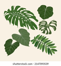 Tropical leaves set. Vector flat illustration. Isolated elements.