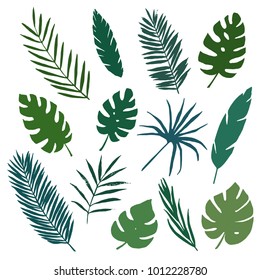 Tropical leaves set. Vector illustration