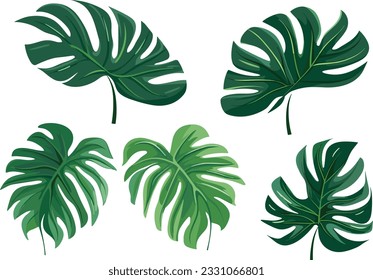 ilustración vectorial de hojas tropicales