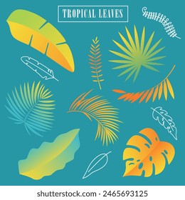 Tropical Leaves Set. Vector Illustration