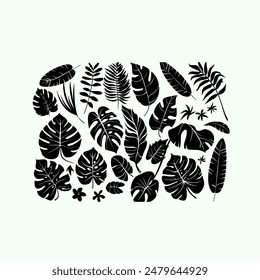 Tropical Leaves Set. Vector Illustration