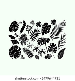 Tropical Leaves Set. Vector Illustration