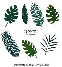 Tropical leaves set. Vector illustration