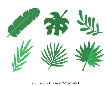 Tropische Blätter Set. Vektorgrafik einzeln auf Weiß.