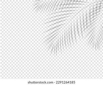 Tropical Leaves Shadow Border Mockup And Transparent Background With Gradient Mesh, Vector Illustration