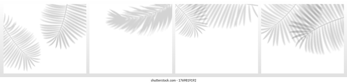 Tropical leaves shadows. Blurry palm plant leaf shadow, realistic nature light decoration overlay effect vector set. Shadow palm realistic overlay, transparent effect illustration