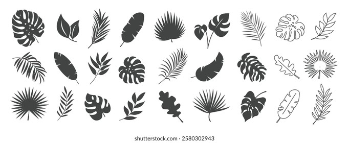 Tropical leaves silhouette clipart set. Tropical leaves icon and symbol clip art collection in hand drawn black outline vector illustration.
