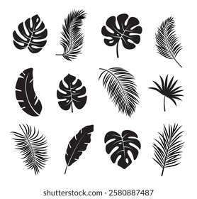 Tropical leaves silhouette clipart set. Tropical leaves botanical icon and symbol clip art collection in black line art style vector illustration.
