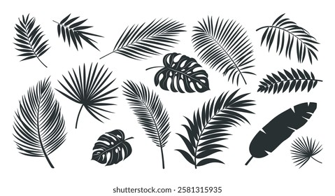 Tropical leaves silhouette clipart set. Leaf drawing icon and sign clip art collection like palm, fern, monstera and banana monochrome elements vector illustration. 
