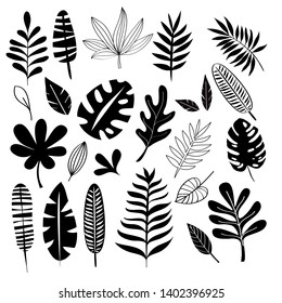 Tropical leaves silhouette collection on a white background