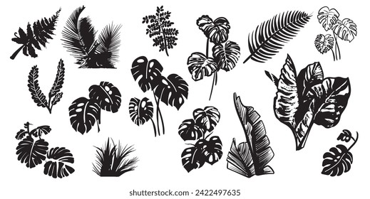 Silhouette de hojas tropicales. Ilustración gráfica de vector dibujada a mano. 