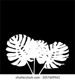 Tropical Leaves Silhouette Illustration. Vector Illustration