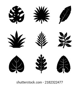 tropical leaves silhouette illustration vector