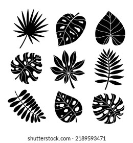 tropical leaves silhouette illustration vector