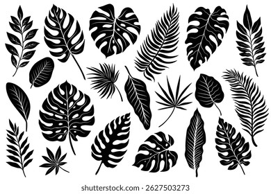 Tropical leaves silhouette. Monochrome silhouette black tropical jungle greenery