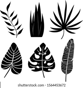 Tropical leaves silhouette on white background vector illustration had draw desing