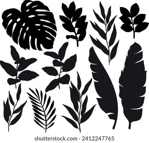 Tropical leaves silhouette set, eucalyptus, monstera, banana leaves vector illustration