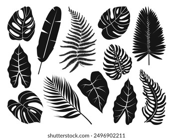 Tropical leaves silhouette set. Jungle plants. Monstera, palm, fern, and banana tree leaf collection. Exotic hand drawn foliage. Vector illustration isolated on white. 