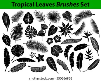 Tropical Leaves Silhouette Set with some flowers in black color as Coconut, Fan, Banana Palm, Monstera, Fern, Bird of Paradise, Plumeria, Heliconia, Hibiskus. Leafs are included as BRUSHES in Library.