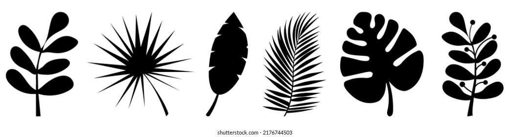 Tropical  leaves silhouette set. Symbol for website design, logo, app, UI. Vector illustration, EPS10