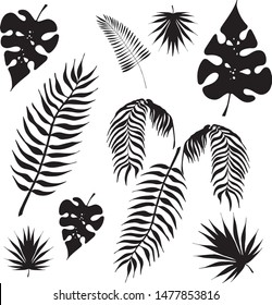 tropical leaves silhouettes Monstera, palm, Pritchardia