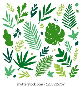 Tropical leaves silhouettes vector collection
