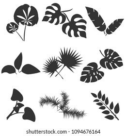 Tropical leaves silhouettes vector set isolated on white background. Different leaf collection. Jungle forest flora. Banana and exotic palm leaves in a flat cartoon style. Vector illustration.