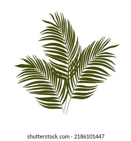 Tropical leaves silhouettes vector set isolated on white background.