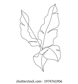 Tropical leaves sline art drawing vector. Nature botanical minimalist symbol. one line drawing summer tropical leaf hand drawn on white background minimalist design. Monstera leaf Minimal 