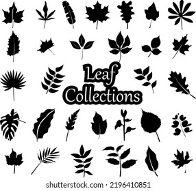Tropical leaves spring floral set isolated on white background
