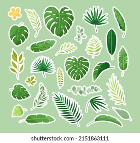 Tropical leaves stickers. Vector set of exotic leaves, jungle plants with palm, monstera, plumeria flowers, calathea, philodendron, banana leaf. Nature botanical decorative collection. Hawaiian plants