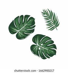 Tropical leaves stock design. vector stock