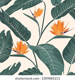 Tropical leaves strelitzia or bird of paradise flower on baige background. Vector seamless pattern. Jungle foliage illustration. Exotic plants. Summer beach floral design. Paradise nature