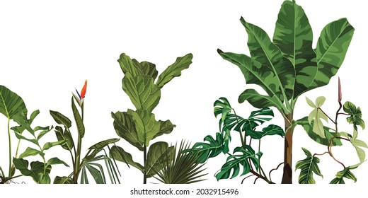 Tropical leaves and strelitzia flower on white background. Jungle foliage illustration. Exotic plants. Summer beach floral design. Paradise nature.