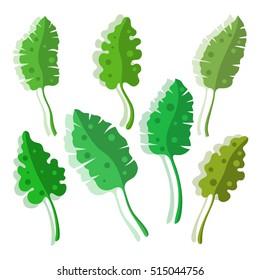 Tropical leaves stylized set with shadow on white background. Image of decorative tropical foliage. Young plant. Vector illustration