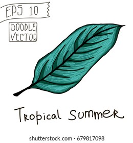 Tropical Leaves for Summer Pattern and other decor. Vintage vector botanical illustration. Colorful. Hand drawn vector isolated.