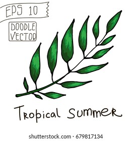 Tropical Leaves for Summer Pattern and other decor. Vintage vector botanical illustration. Colorful. Hand drawn vector isolated.